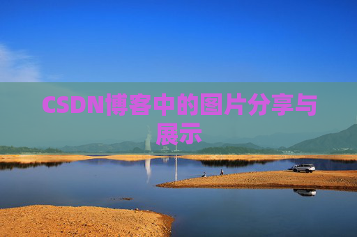 CSDN博客中的图片分享与展示